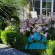 Rose 'The Fairy' - von 3376367951_4987: Bild 10/11