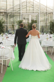 Hochzeit im Grünen