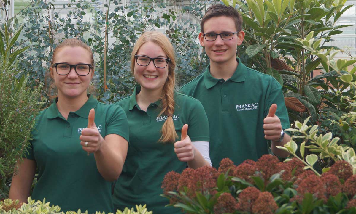 Diese jungen Leute haben sich für einen Beruf im Grünen entschieden! (v. l. n r. Tatjana Linsbauer, Ihm Katharina, Pavlicek Christoph)