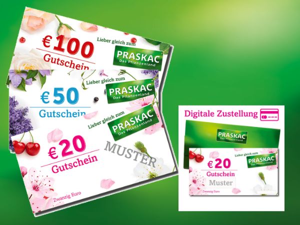 Gutschein 2025 (600 x 450 px)